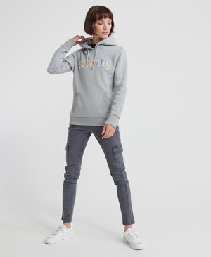 Superdry Classic Rainbow Embroidered Női Kapucnis Pulóver Szürke | NLGVD9254